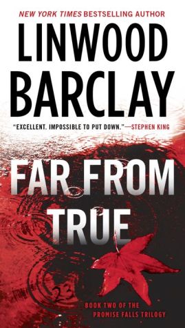 Far From True: A Promise Falls Novel