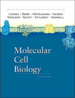 Molecular cell biology Cover Art