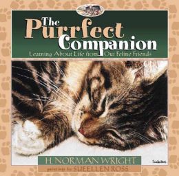 The Purrfect Companion: Learning about Life from Our Feline Friends