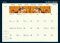 2012 American Cat Monthly Pocket Planner Calendar