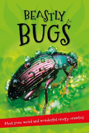 Beastly Bugs: Everything you want to know about minibeasts in one amazing book