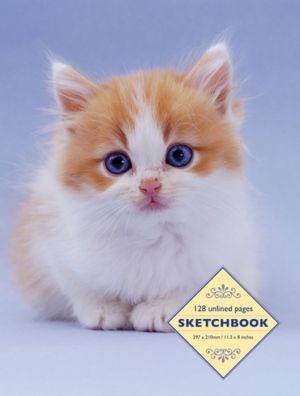 Sketchbook: Kitten: 128 Unlined Pages