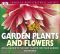 American Horticultural Society Garden Plants and Flowers