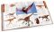 Prehistoric Life: The Definitive Visual History of Life on Earth