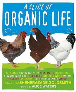 Slice of Organic Life
