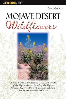 Mojave Desert Wildflowers: A Field Guide to the Wildflowers of the Mojave Desert, Including the Mojave National Preserve and Joshua Tree National Park
