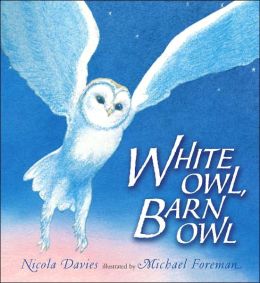 White Owl, Barn Owl Michael Foreman