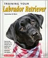 Training Your Labrador Retriever