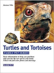 Turtles and Tortoises