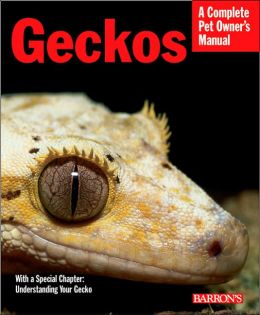 Geckos