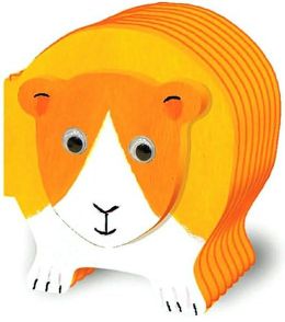 Chunky Guinea Pig