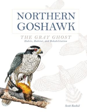 Northern Goshawk, the Gray Ghost: Habits, Habitat, and Rehabilitation