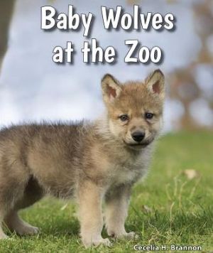Baby Wolves at the Zoo
