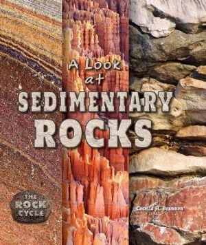 A Look at Sedimentary Rocks