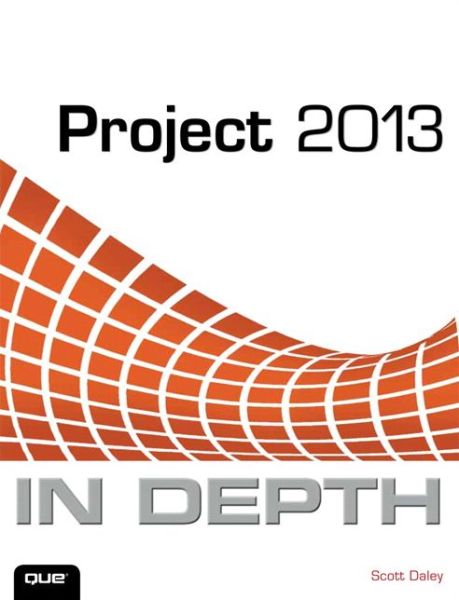 Project 2013 In Depth