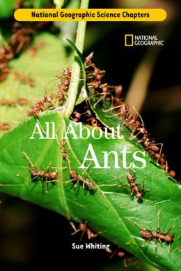 Science Chapters: All About Ants