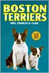 Boston Terriers