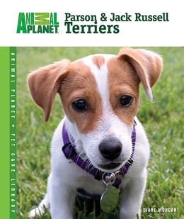 Parson and Jack Russell Terriers