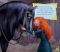 Disney Pixar Brave Movie Theater: Storybook and Movie Projector