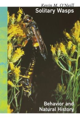 Solitary Wasps: Behavior and Natural History
