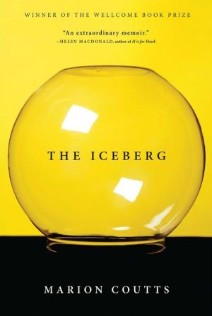 The Iceberg