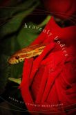 Book Cover Image. Title: Heavenly Bodies, Author: Cynthia Huntington