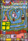 Varieties of Visual Experience