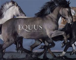 Equus