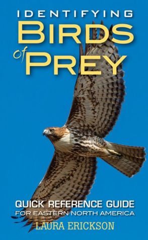 Identifying Birds of Prey: Quick Reference Guide for Eastern North America