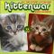 2008 Wall Calendar: Kittenwar