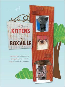 Kittens of Boxville