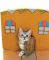 Kittens of Boxville