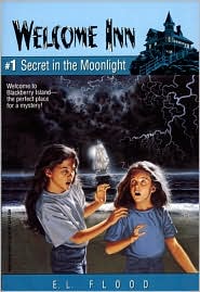 Secret in the Moonlight: Welcome Inn