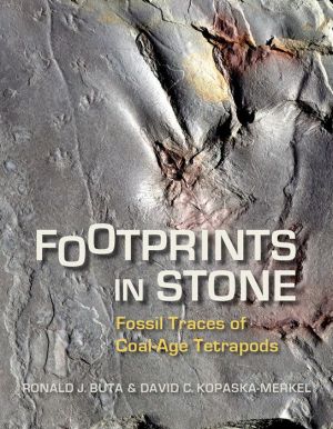 Footprints in Stone: Fossil Traces of Coal-Age Tetrapods