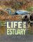 Life in an Estuary
