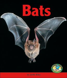 Bats