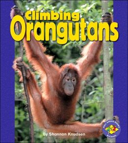 Climbing Orangutans