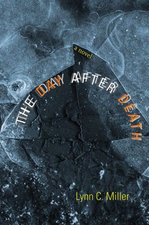 The Day after Death: A Novel