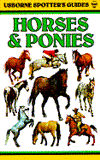 Horses and Ponies