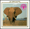 Elephants