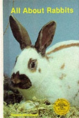 All about Rabbits