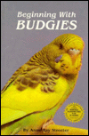 Beginning with Budgies