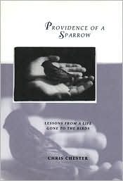 Providence of A Sparrow: Lessons from a Life Gone to the Birds George C Chester