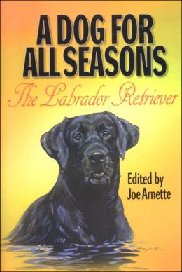 Dog for All Seasons: A Tribute to the Labrador Retriever