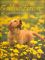 Goldens Forever: A Heartwarming Celebration of the Golden Retriever (PetLife Library Series)