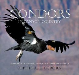 Condors in Canyon Country: The Return of the California Condor to the Grand Canyon Region Sophie A. H. Osborn