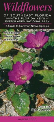 Wildflowers of Southeast Florida including the Florida Keys and Everglades National Park: A Guide to Common Native Species