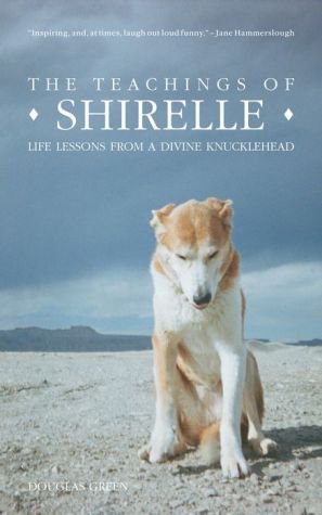 The Teachings of Shirelle: Life Lessons from a Divine Knucklehead