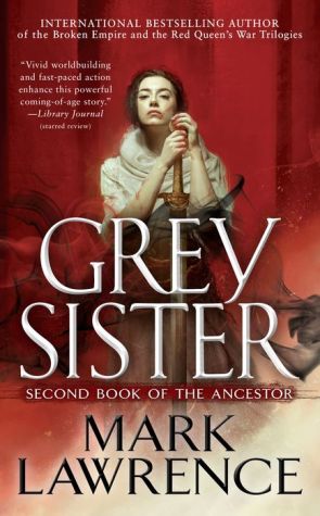 Book Grey Sister