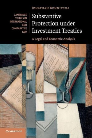 Substantive Protection under Investment Treaties: A Legal and Economic Analysis